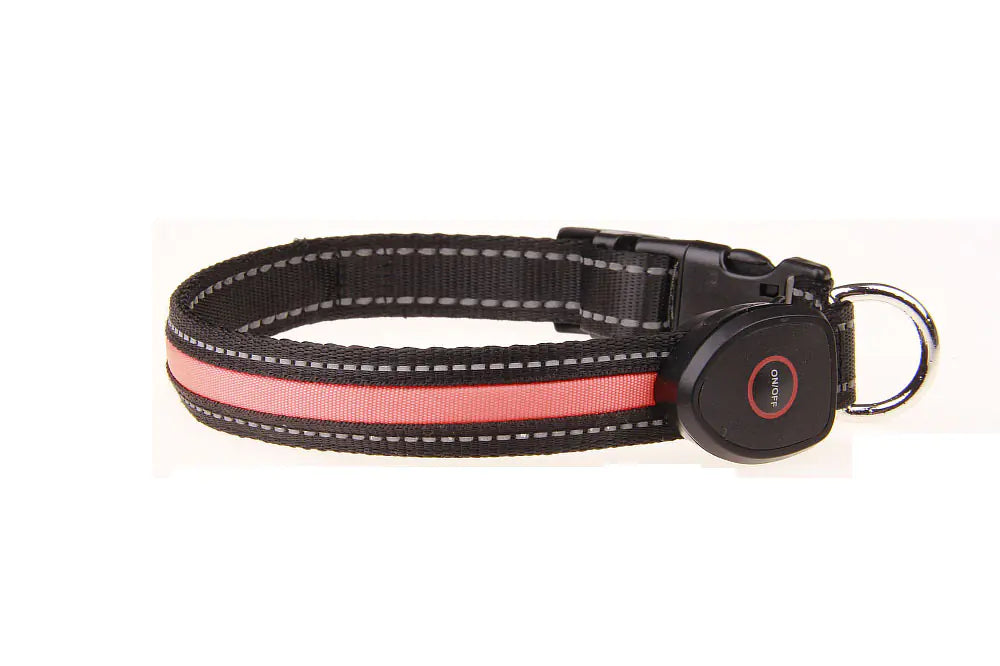 Collier lumineux pour chien rechargeable par USB