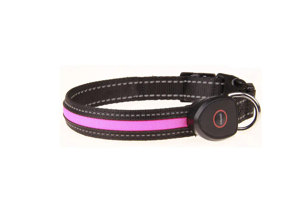Collier lumineux pour chien rechargeable par USB