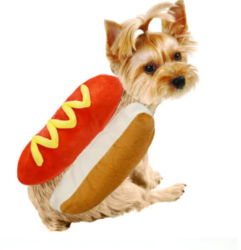 Vêtements pour animaux de compagnie Hot Dog Burger pour chats et chiens