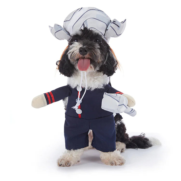 Costumes d'Halloween pour chiens