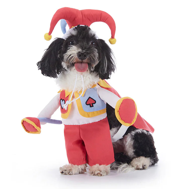 Costumes d'Halloween pour chiens