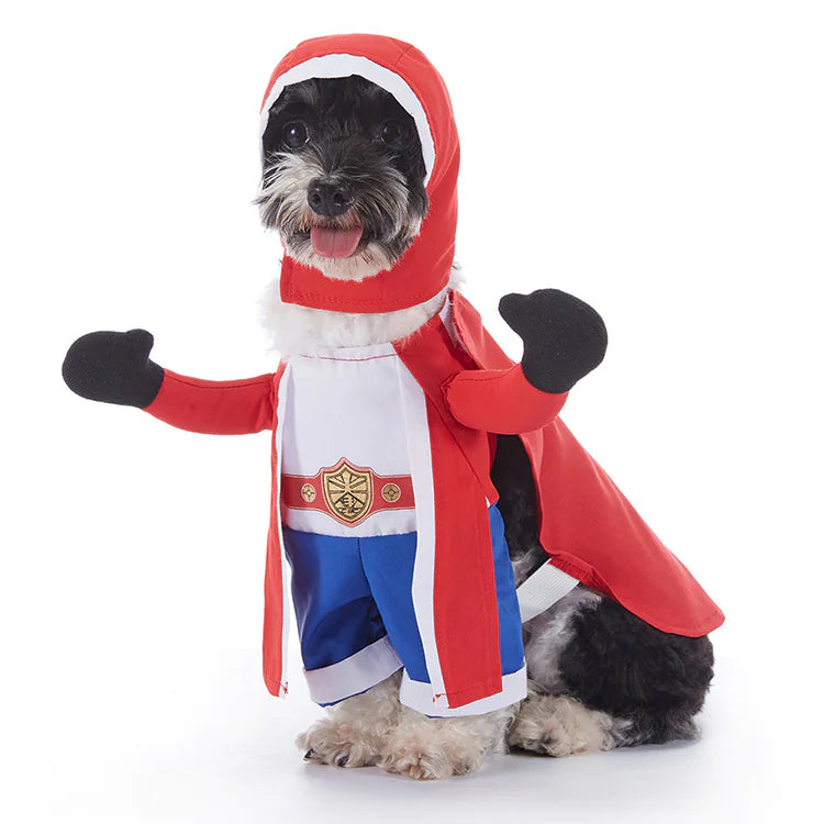Costumes d'Halloween pour chiens
