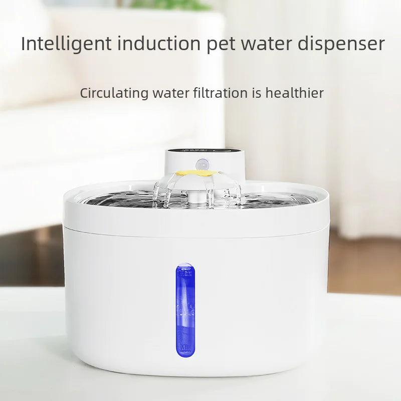 Distributeur d'eau sans fil intelligent pour animaux de compagnie avec bol en acier inoxydable