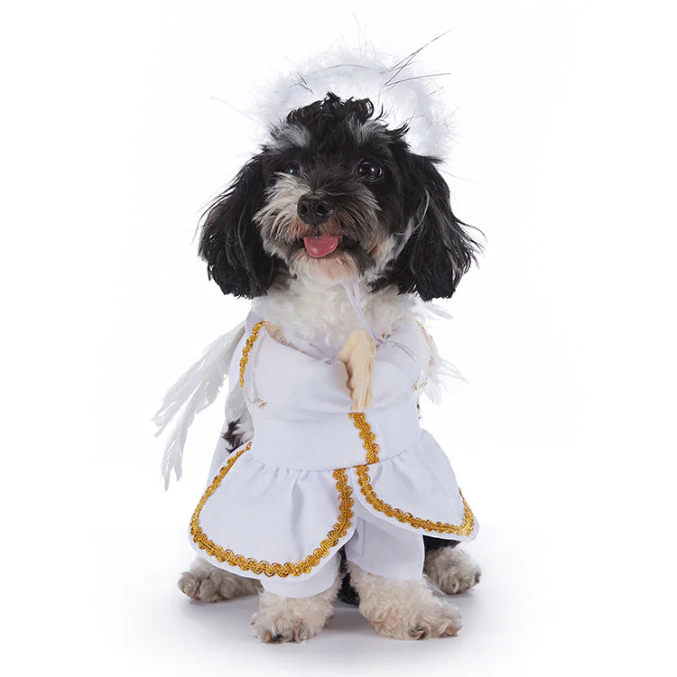Costumes d'Halloween pour chiens