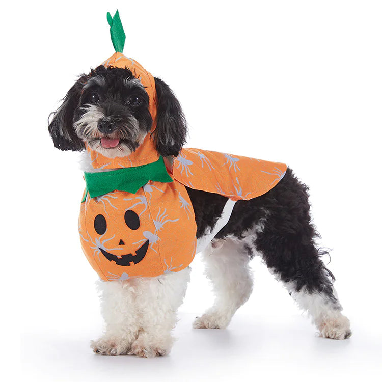 Costumes d'Halloween pour chiens