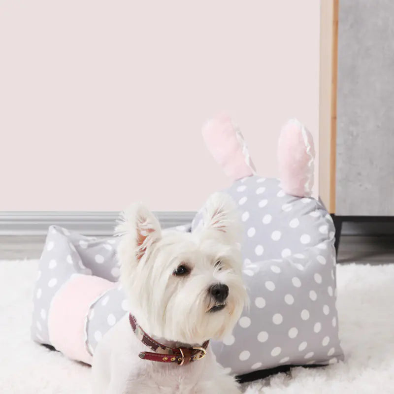 Panier universel pour chien avec coussin lavable pour animaux de compagnie