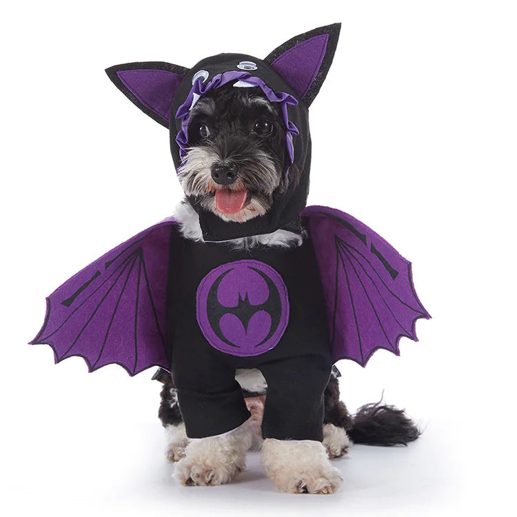 Costumes d'Halloween pour chiens