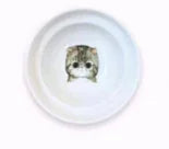 Support de bol de protection de la colonne vertébrale pour nourriture et eau pour chat