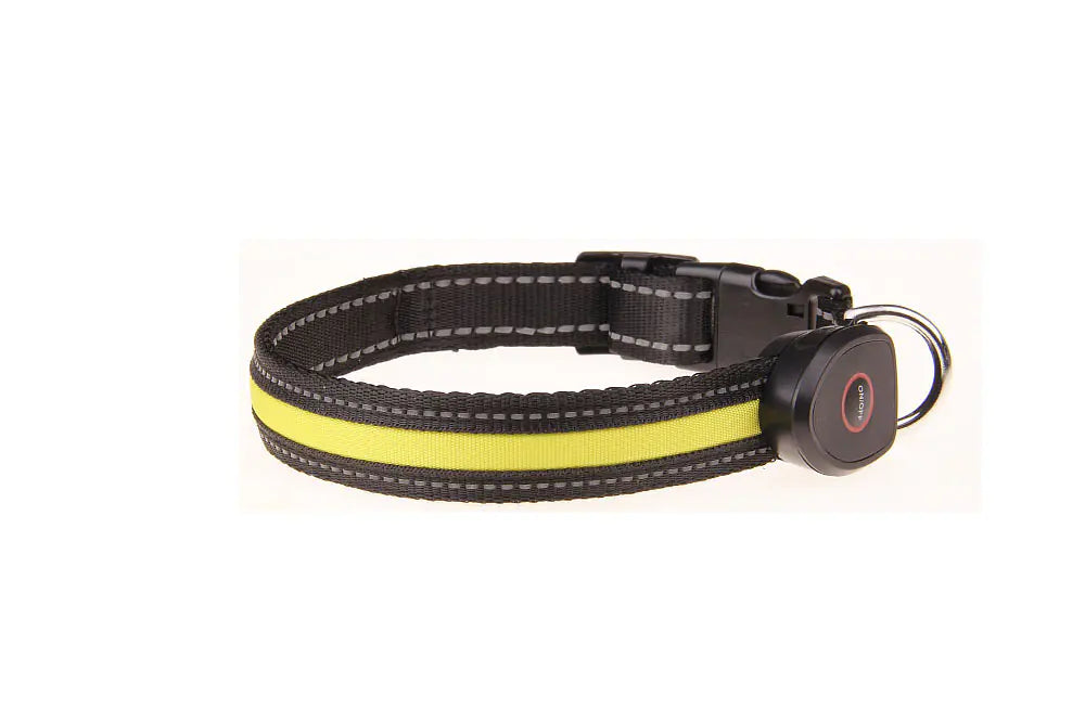 Collier lumineux pour chien rechargeable par USB