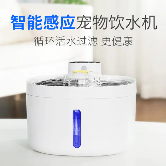 Distributeur d'eau sans fil intelligent pour animaux de compagnie avec bol en acier inoxydable