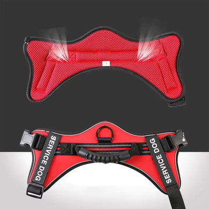Laisse pour chien de taille moyenne et grande avec gilet à sangle de poitrine