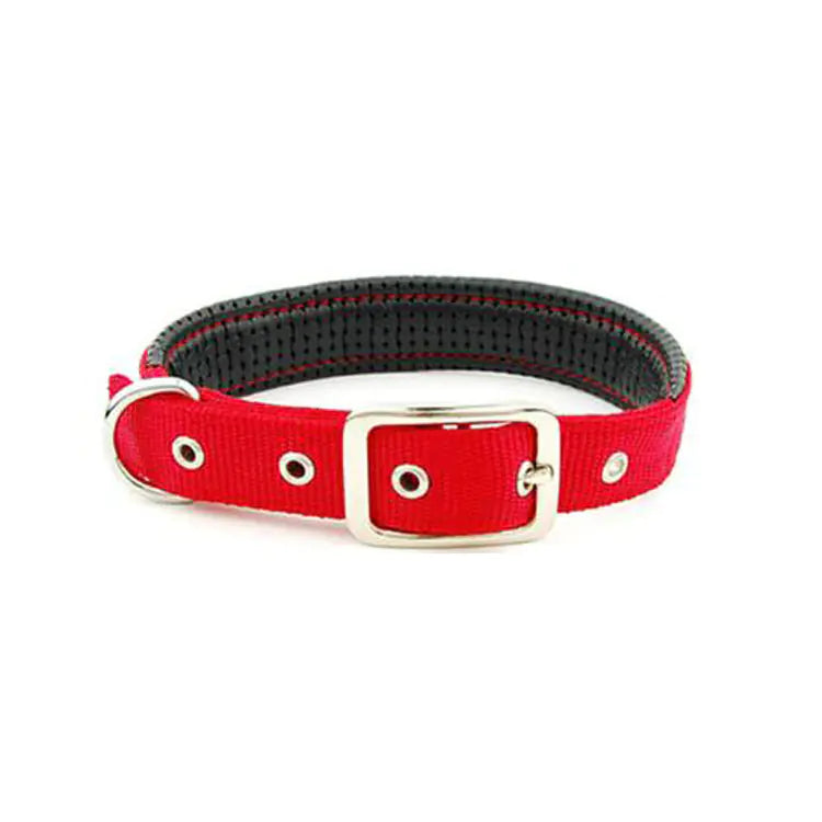 Colliers pour chiens de taille moyenne et grande pour toutes les races