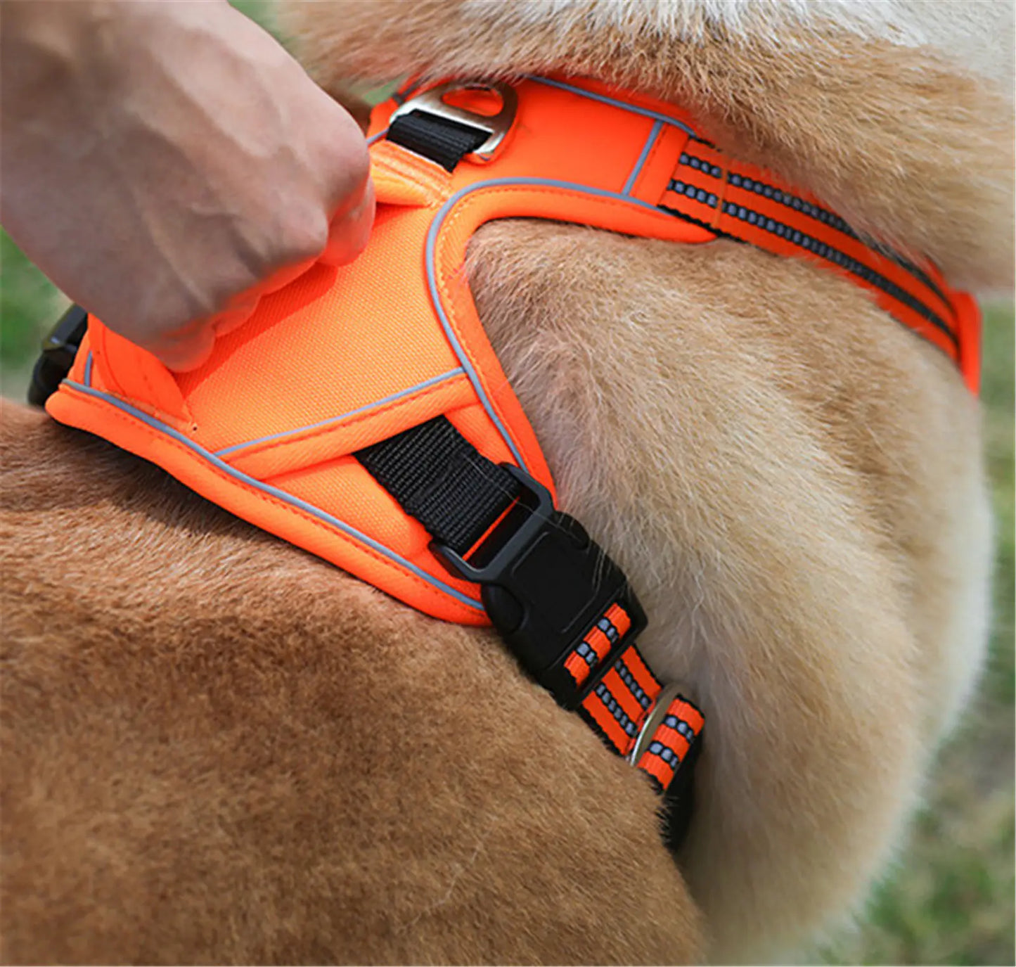 Harnais pour animaux de compagnie durable et imperméable avec poignée verticale
