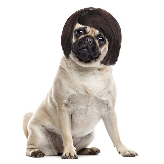 Cobee Funny Dog Cat Cosplay Wig Pet Wig-Adjustable Costume Pet Funny Headwear Costumes Headgear for Small Medium Large Dog Cat Wigs Dress Up Decorations for Halloween Christmas Parties Festivals