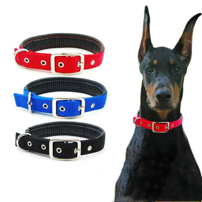 Colliers pour chiens de taille moyenne et grande pour toutes les races