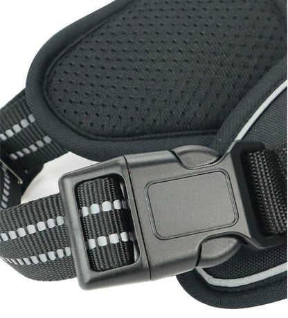 Harnais pour animaux de compagnie durable et imperméable avec poignée verticale