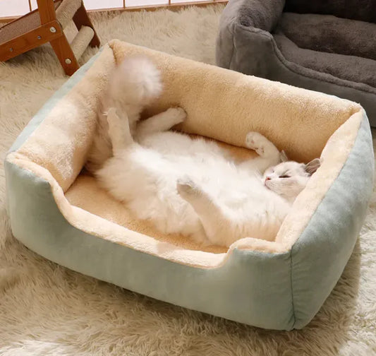 Lit tout-en-un pour chat et chien