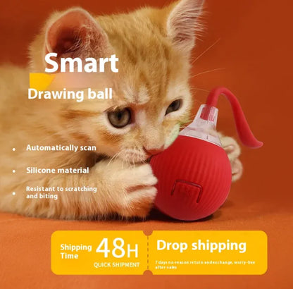 Balle amusante à rouler pour chat