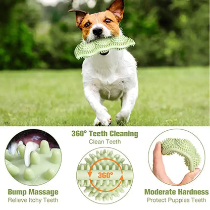Balle jouet pour chien résistante aux morsures pour une mastication interactive