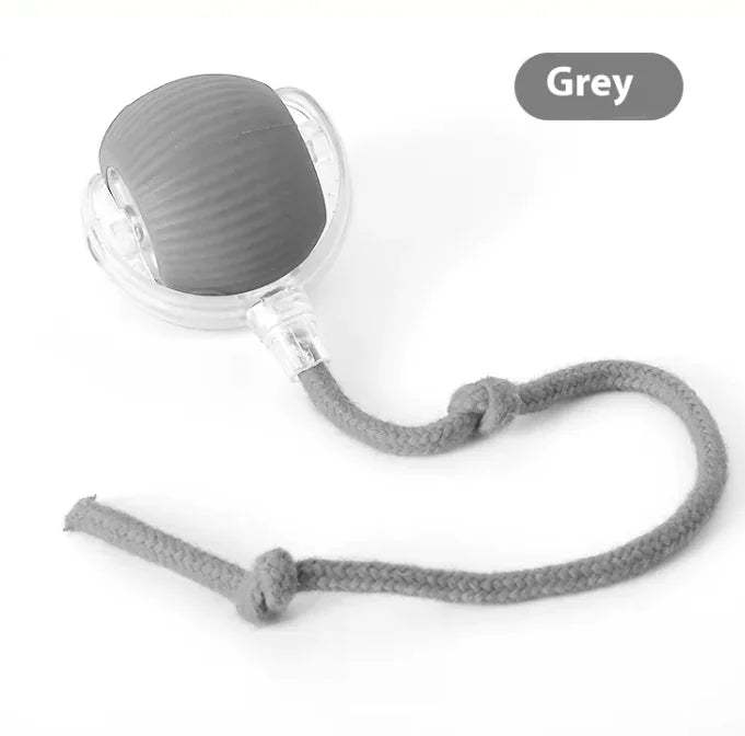 Balle amusante à rouler pour chat