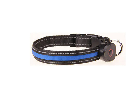 Collier lumineux pour chien rechargeable par USB
