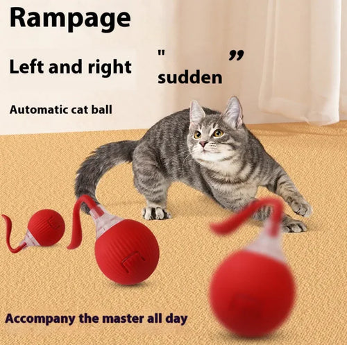 Balle amusante à rouler pour chat