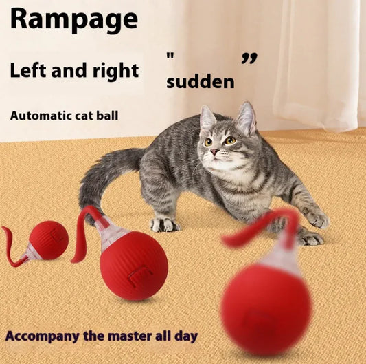 Balle amusante à rouler pour chat