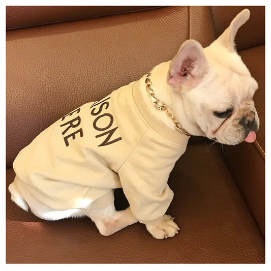 Pull brodé en coton éponge pour propriétaires de chiens