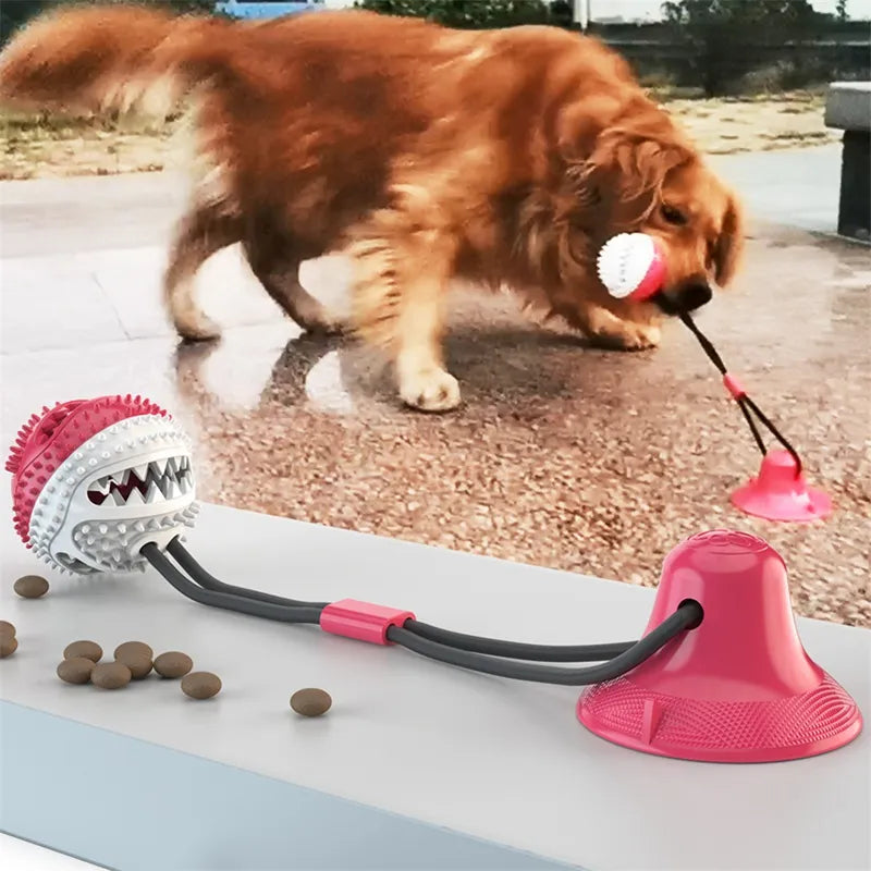 Jouet interactif pour chien avec boule à ventouse