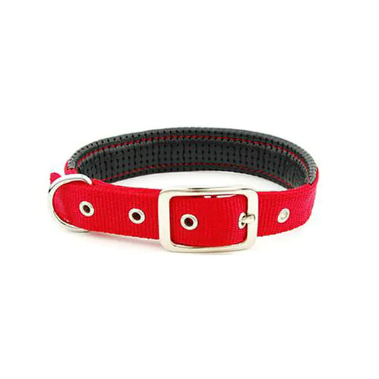 Colliers pour chiens de taille moyenne et grande pour toutes les races