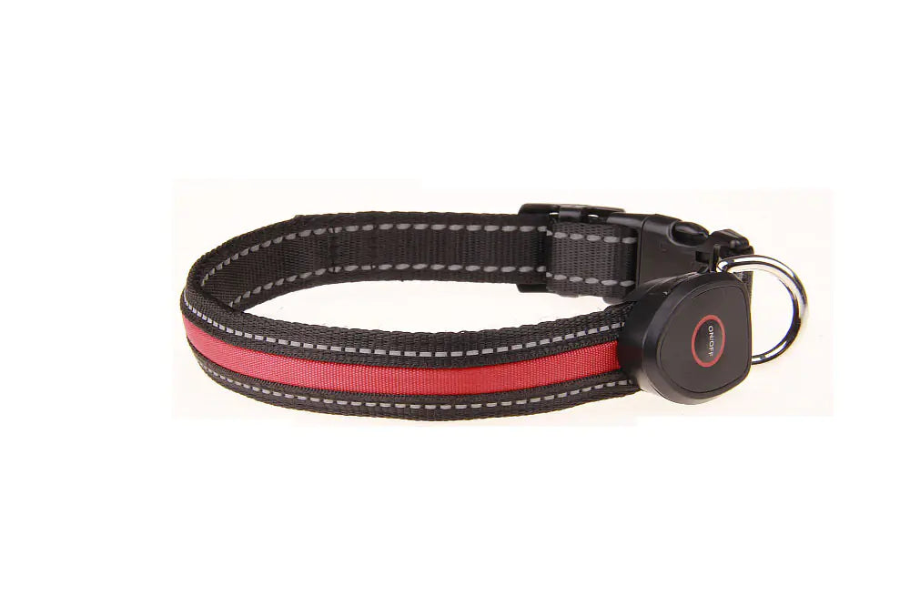 Collier lumineux pour chien rechargeable par USB