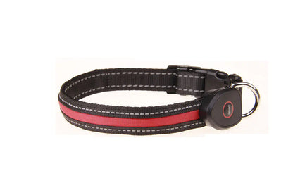 Collier lumineux pour chien rechargeable par USB