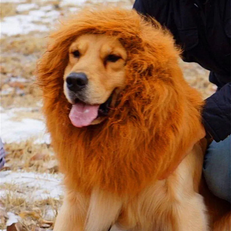 Perruque pour chien – Costume tête de lion