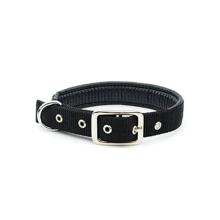 Colliers pour chiens de taille moyenne et grande pour toutes les races