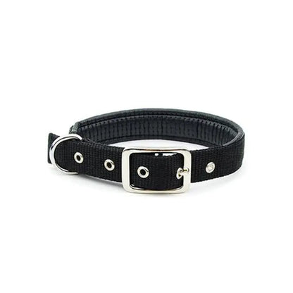 Colliers pour chiens de taille moyenne et grande pour toutes les races