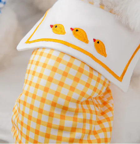 Chemises pour chats et chiens de petite et moyenne taille