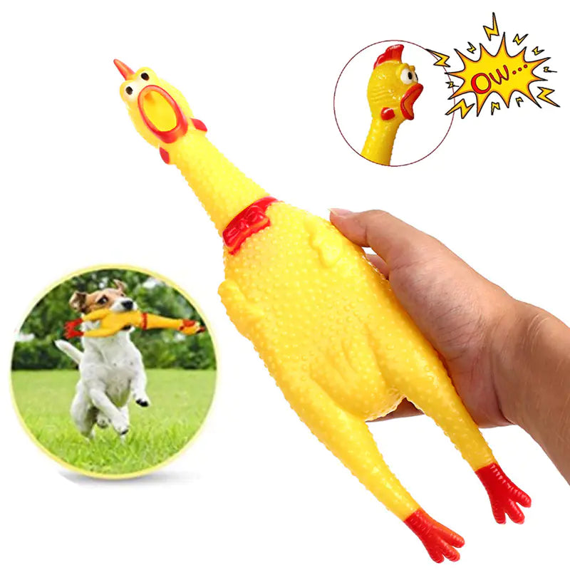 Jouet vocal créatif pour chien en forme de poulet pour grincer des dents