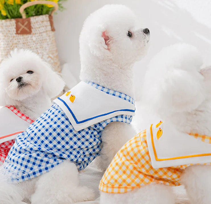Chemises pour chats et chiens de petite et moyenne taille