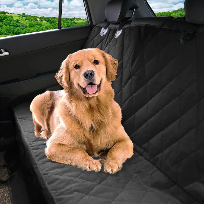 Water & Dirt Resistant Rear Car Seat Pet Mat