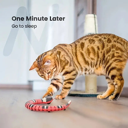 Jouet interactif serpent pour chats avec chargement USB : un plaisir sans fin