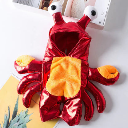 Cat and Dog Costume for Halloween