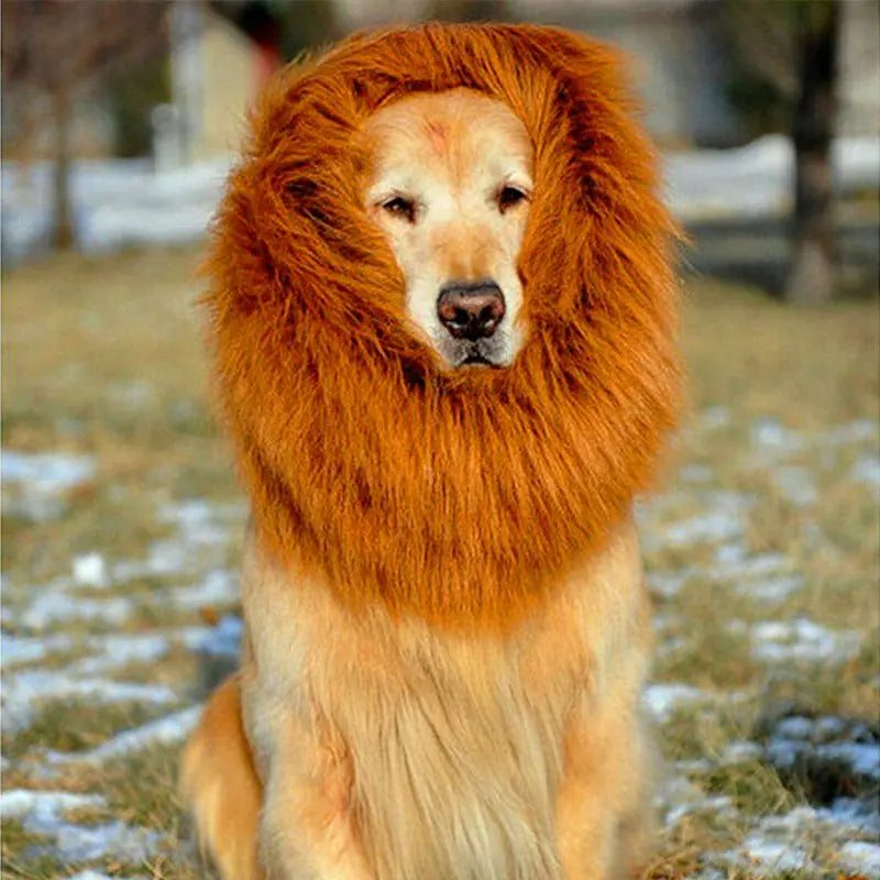 Perruque pour chien – Costume tête de lion
