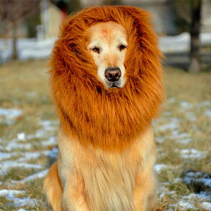 Perruque pour chien – Costume tête de lion