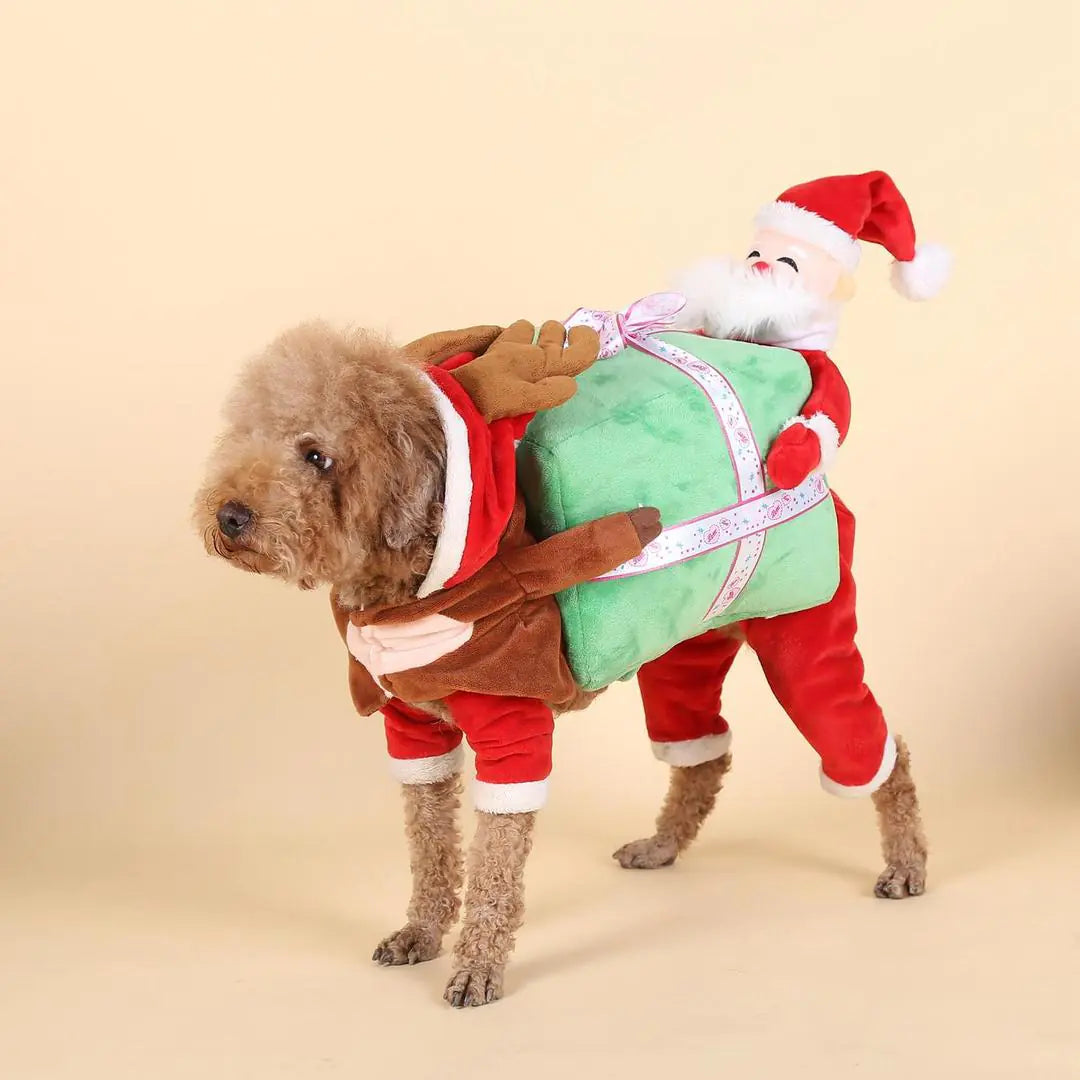 Santa Claus Gift Box Pet Costume