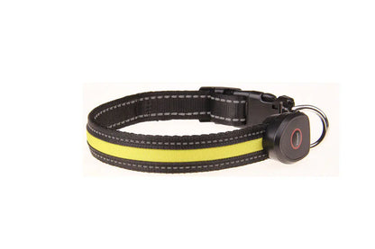 Collier lumineux pour chien rechargeable par USB