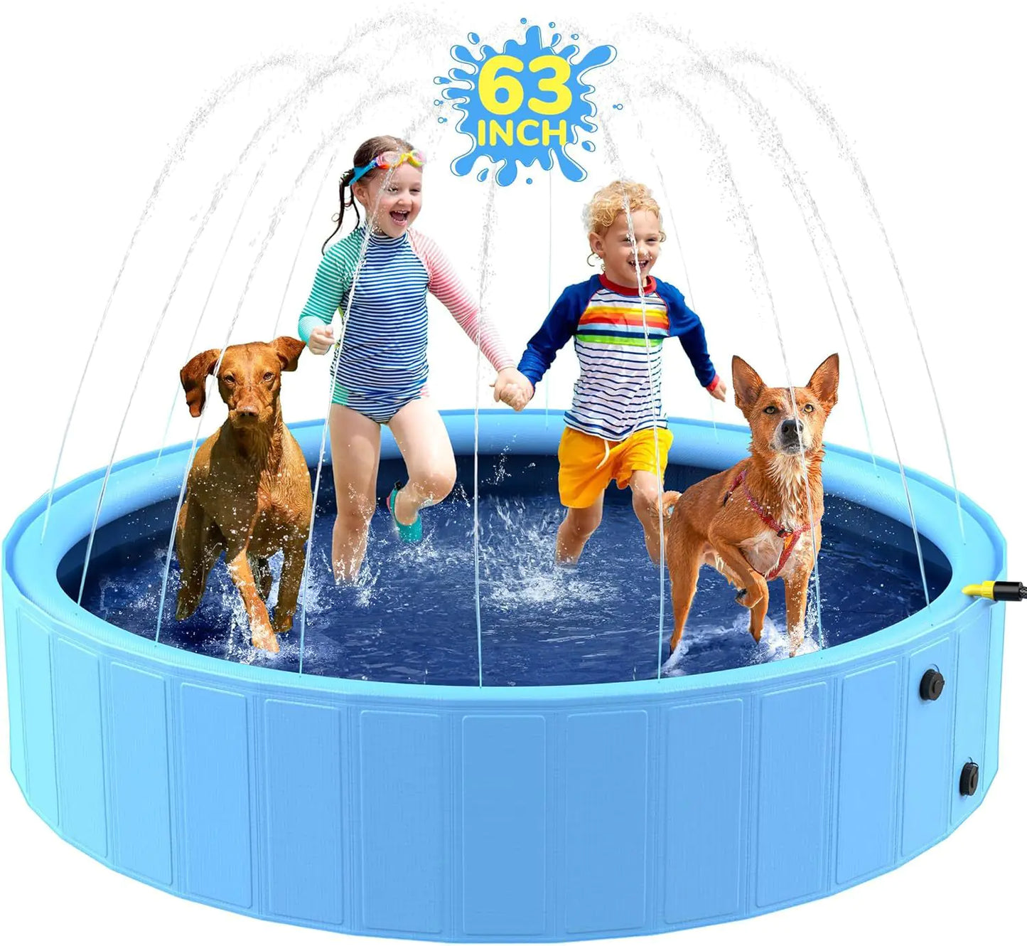 Piscine pliable pour chiens et baignade